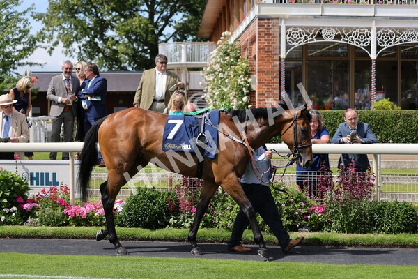 yr08072022r2-1 - Race 2 2.40pm William Hill Summer Stakes