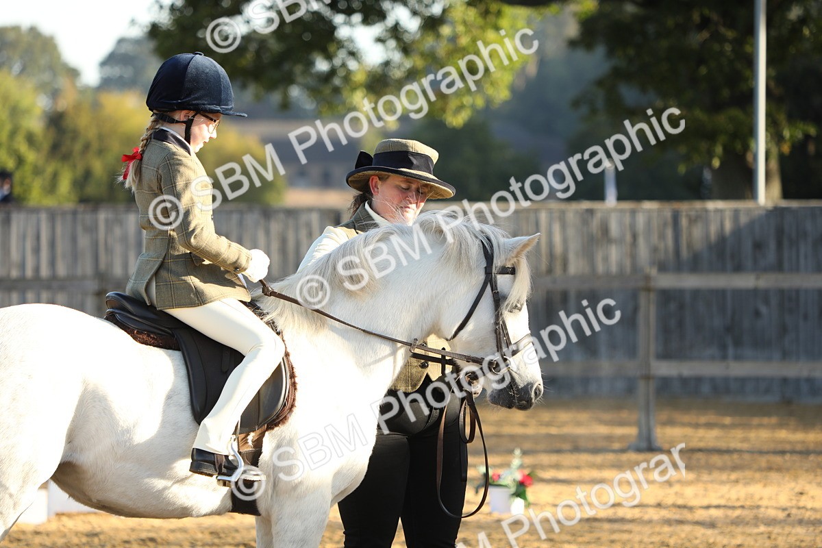 SBM_33610 - D26 - Starers - Lead Rein