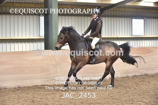 JAC_2453 - CLASS 3 Intermediate Working Hunter