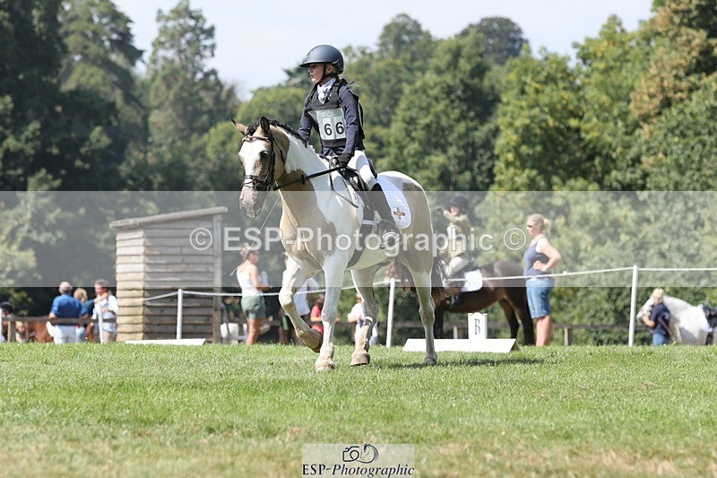 250823A-133641-31337 - Arena D