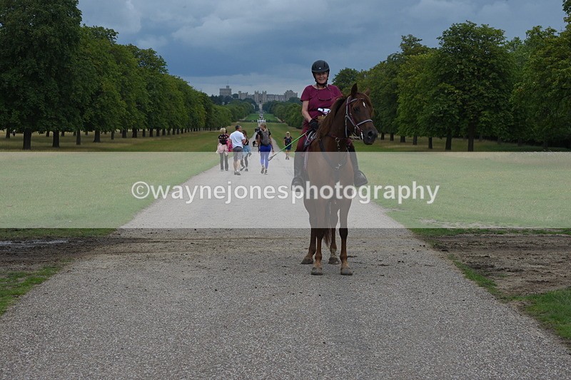 TT3_9371 - Time at Crossing 11:28 to 13:16