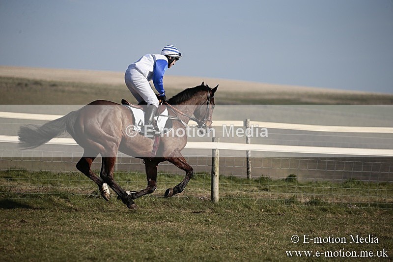 PtP 240218 315 - Vine & Craven Hunt Point-to-Point Barbury racecourse 24/02/18