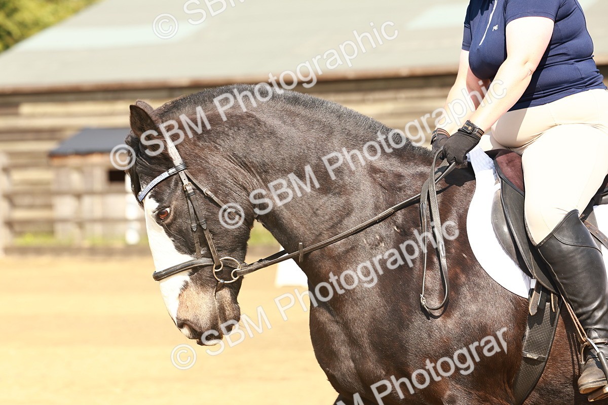 SBM_000106 - Class 1 - Intro 2