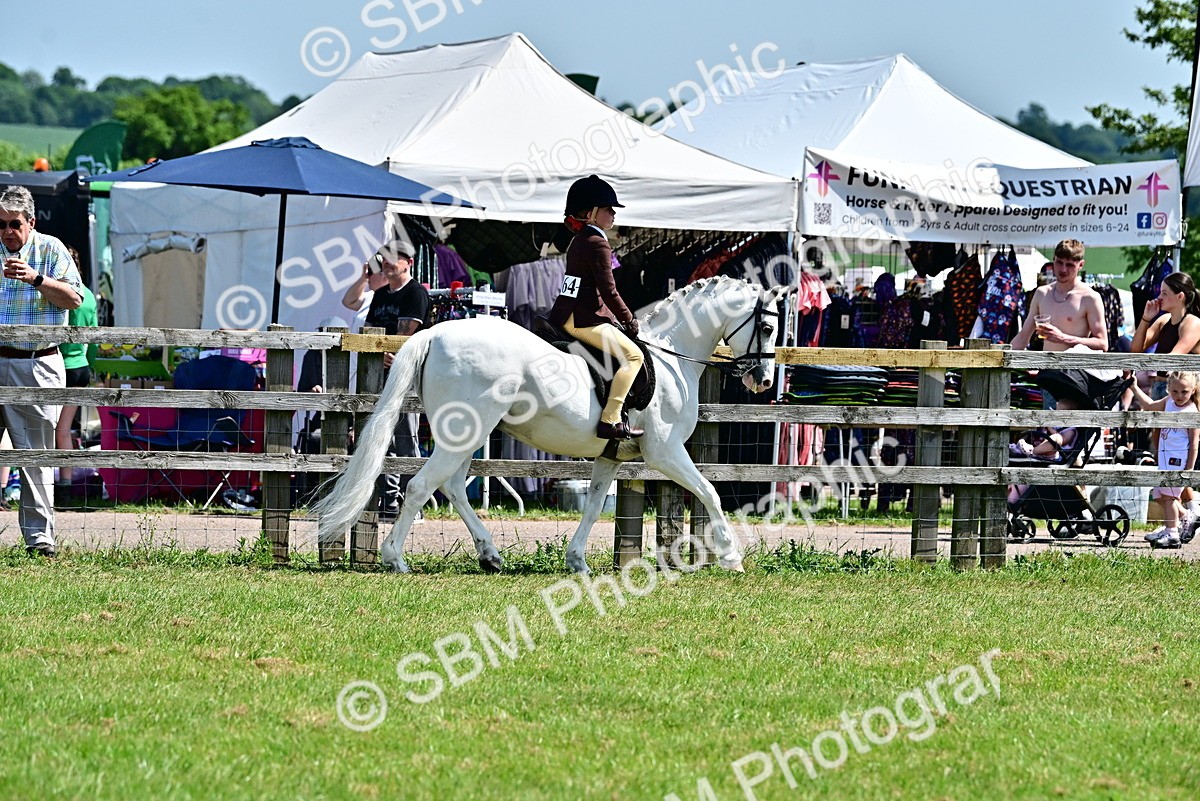 SBM_15308 - Class 95-97 - BSPS LHS Performance Ponies