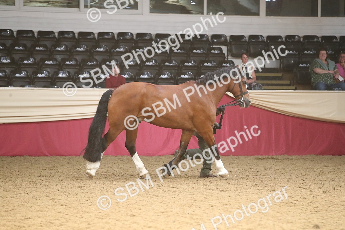 SBM_05613 - Class 9R - Regional IH Pre-Vet