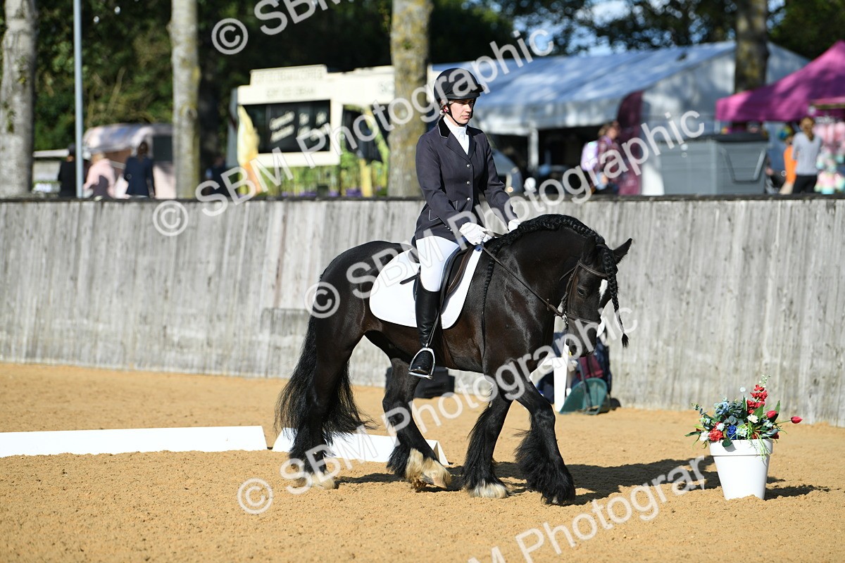 SBM_28451 - D16 - Small Tour Championship - Novice 28