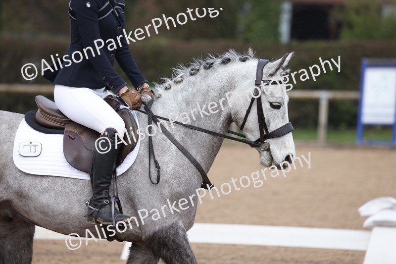 20260301-0072 - Class 2 - Prelim 5