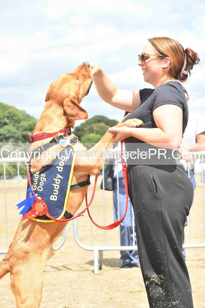 SH4_0255 - Dog show.