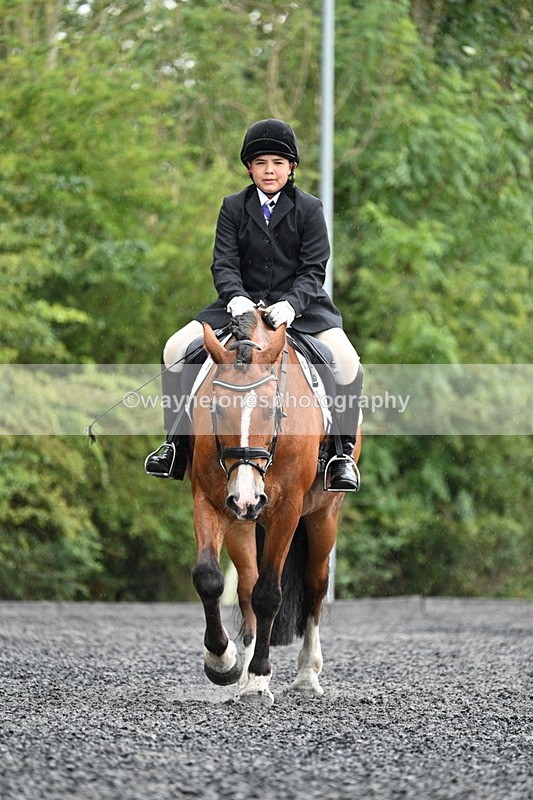 WJ7_6164 - Time 11:38 to 12:03