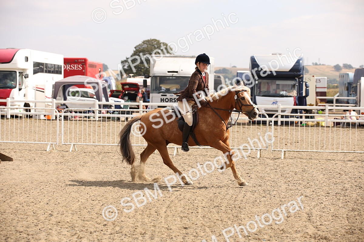 SBM_14302 - Class 407b - Working Veteran 60cm (20+)