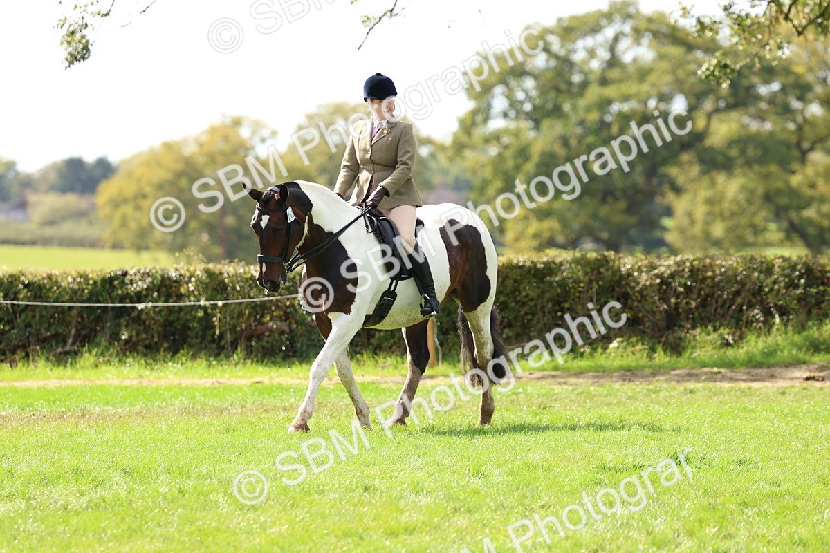 SBM_45255 - S27 - Young Veteran Ridden