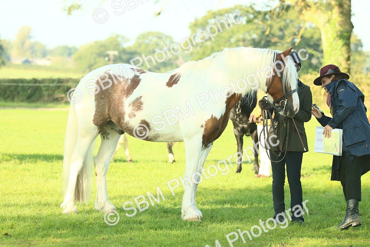 SBM_57521 - S37 - Starters In Hand Showing