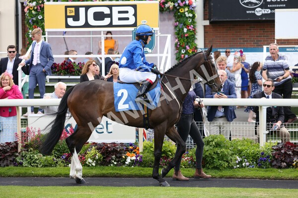 yr11062022r2-48 - Race 2 2.00pm Queen Mother's Cup