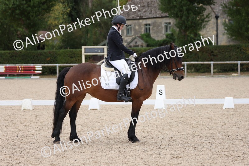 20250820-1246 - Class 18 - Elementary 5