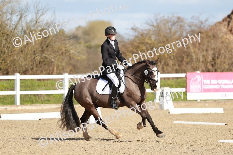 20260314-4357 - DR4 - Prelim 2