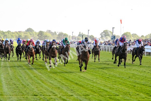 160525-Race 5-The Man-7003 - Race 5 4.15pm Irish Thoroughbred Marketing Handicap