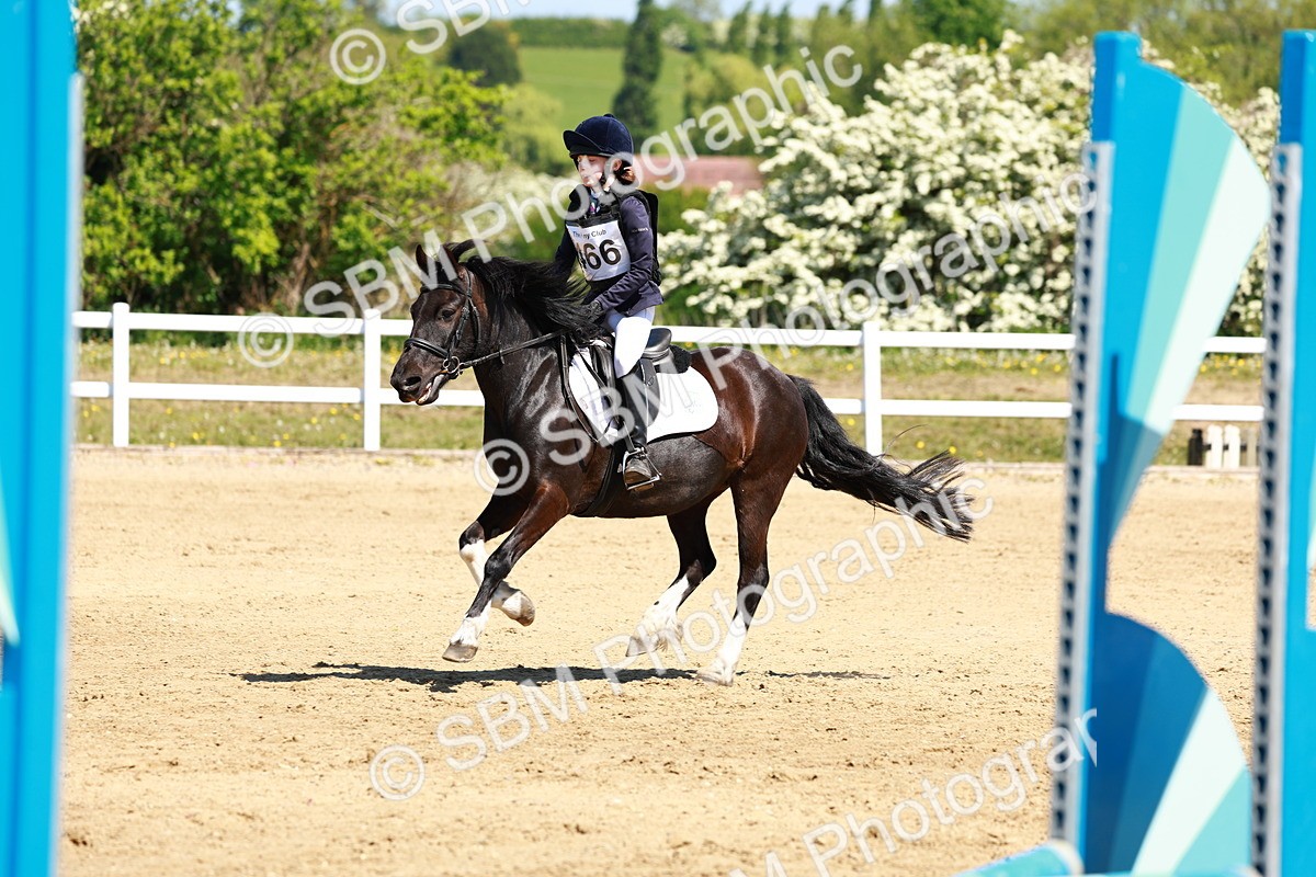 SBM_007467 - Class 3 - 60cm