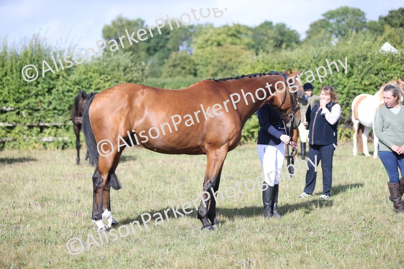 20250831-1403 - Class 21 - Inhand Open