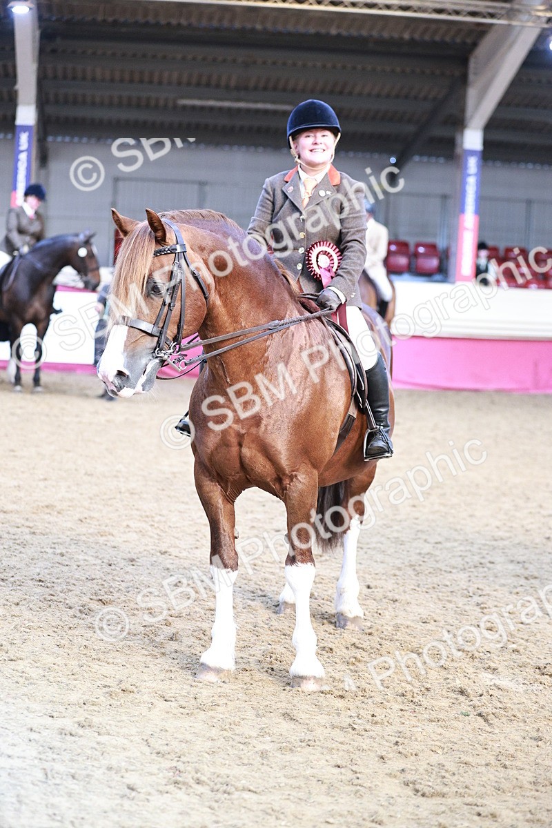 SBM_09122 - Class 12R - Regional Ridden Pre-Vet