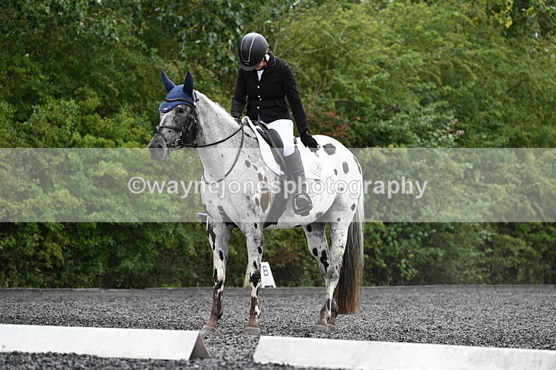 WJ7_7651 - Time 13:21 to 13:38