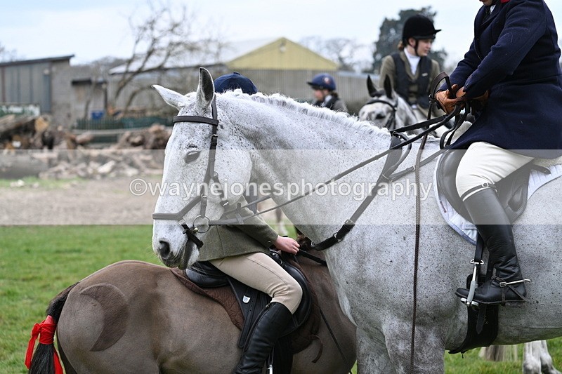 WJ7_7761 - Meet