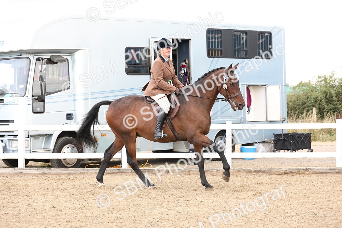 SBM_02960 - Class 53 - Ridden Competition Horse/Pony