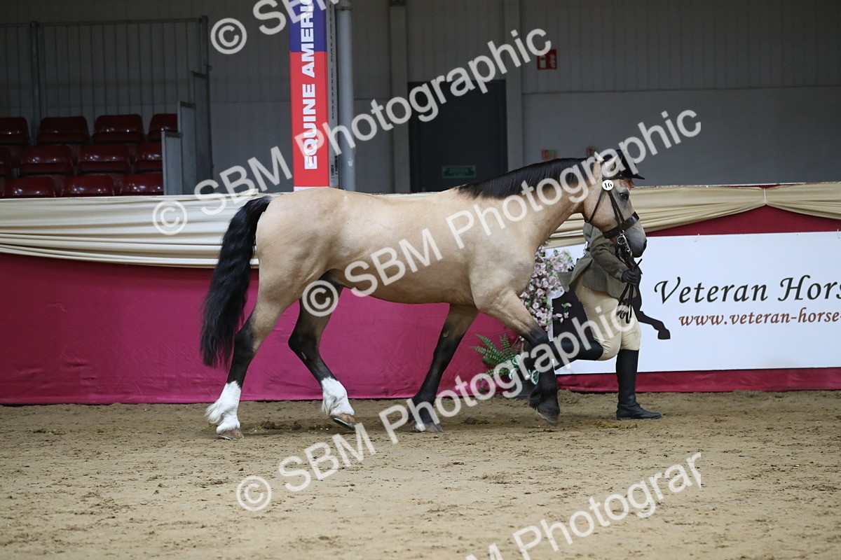 SBM_06317 - Class 9R Regional- IH Pre Vet