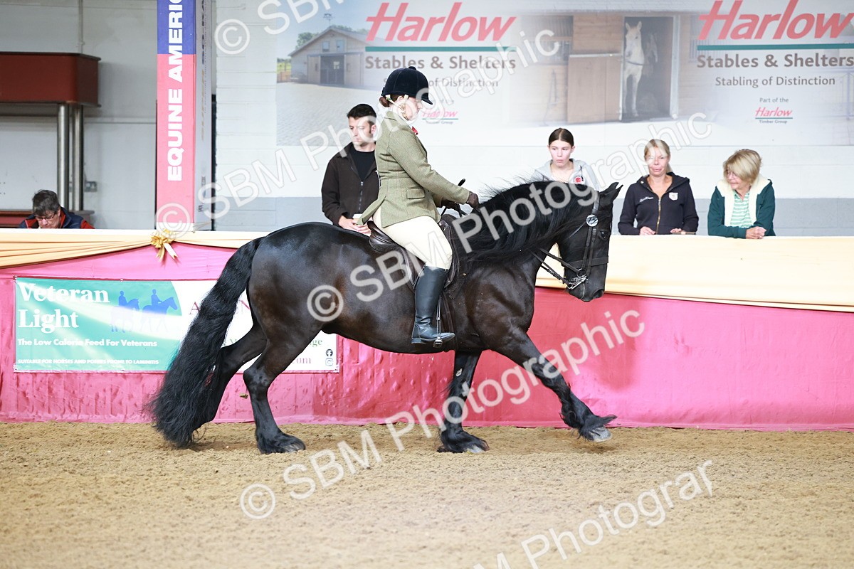 SBM_11874 - Class 102 - Equitation (Best Rider) Adult