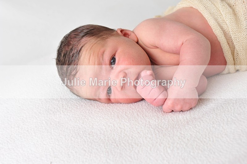 DSC_2843 - gabrielle