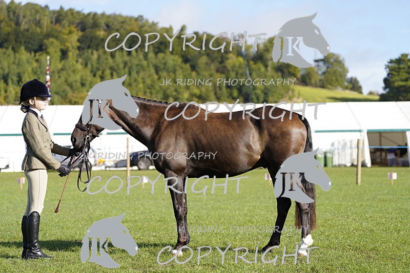 _DSC9507 - Class 8 & 17 Ridden Hunter & Ridden Hunter Pony