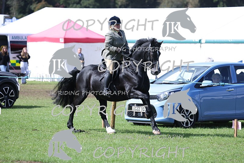 APP_3529 - Class 12 M&M ridden