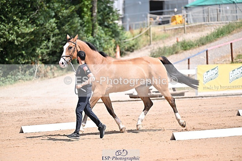 250716-125005-00191 - Trot Up 12.30 to 1.30