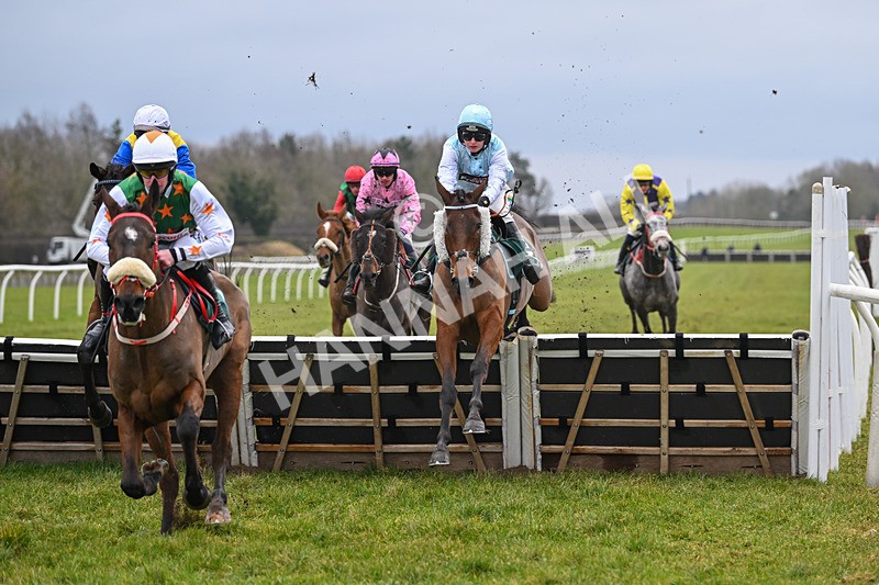 100225-Race 1-Tigerbythetail-6265 - Race 1