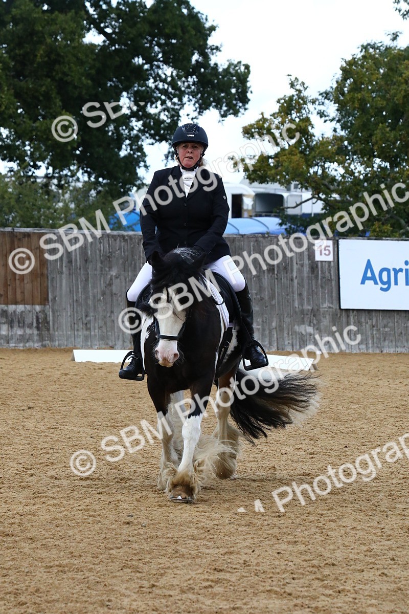 SBM_21040 - D5 - Small Tour Championshop Intro 2