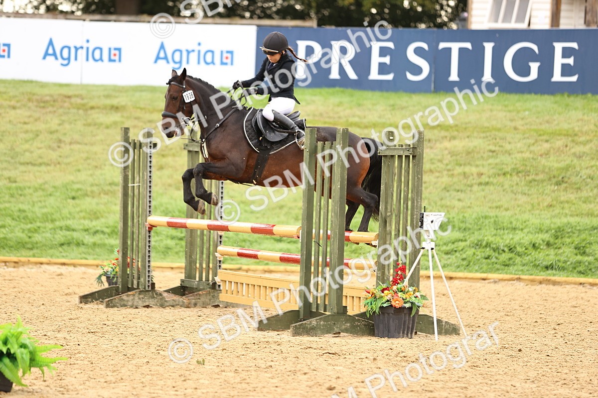 SBM_58287 - J41 - Grand Tour Horse & Pony 95cm