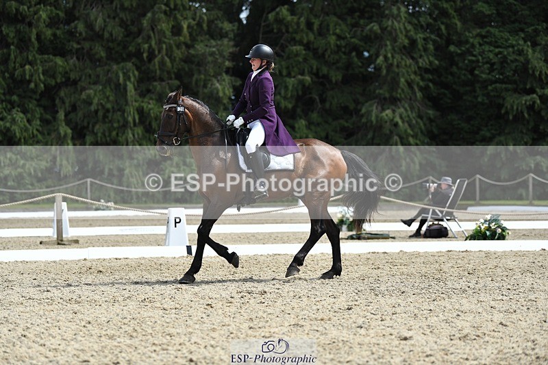 230812-134534-04496 - Cls 7 FEI PSG Bronze