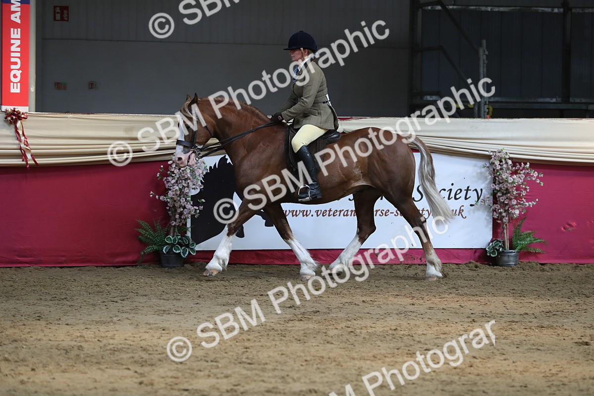 SBM_08348 - Class 11R Regional Ridden Veteran