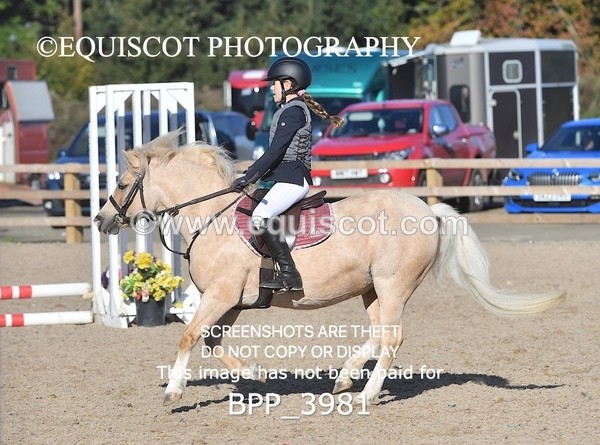 BPP_3981 - CLASS 2 40CM FINAL