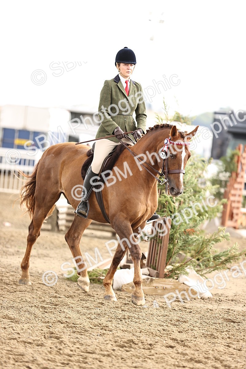 SBM_00671 - Class 53 - Ridden Competition Horse Pony