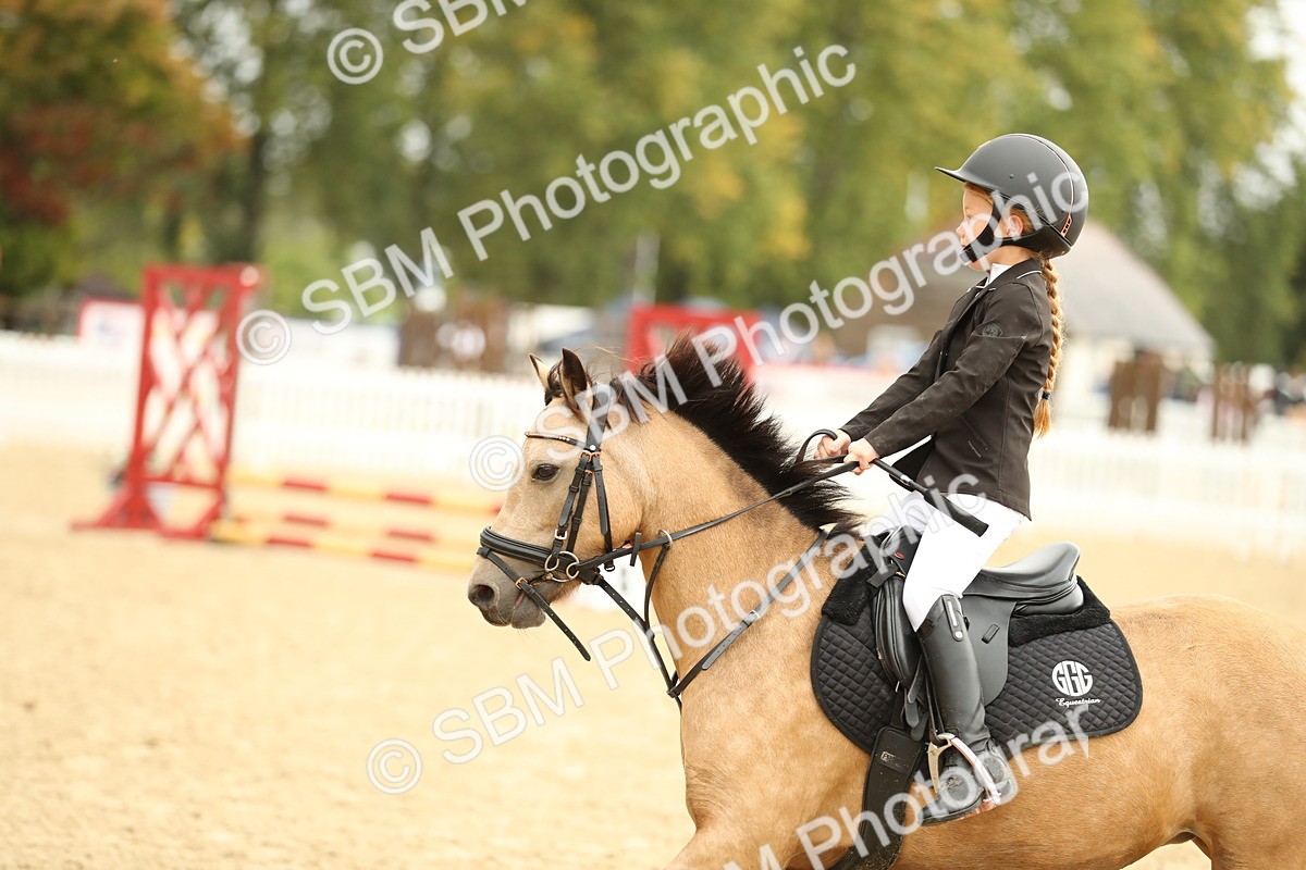 SBM_34269 - J60 Clear Round 50cm