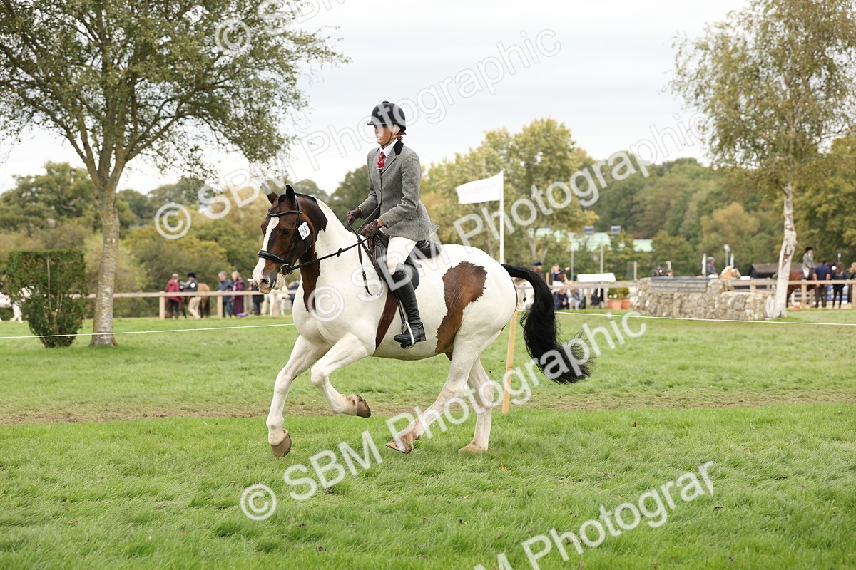SBM_67260 - S67 - Piebald & Skewbald Horse Ridden