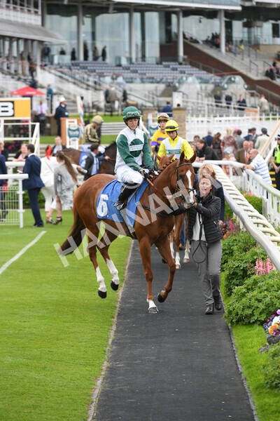 yr11062022r1-31 - Race 1 12.45pm Macmillan Ride of Their Lives, supported by Sky Bet