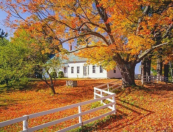 Istock #21502740 - Autumn Colors all over North America