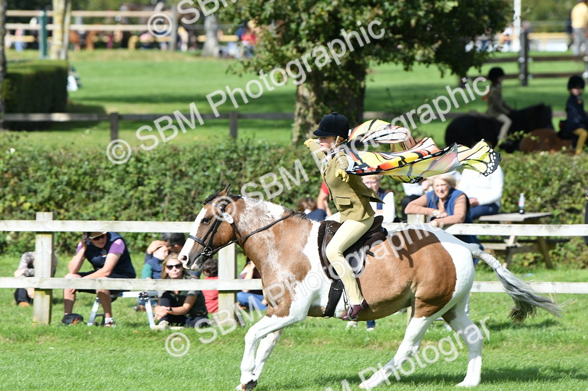 SBM_47112 - S12 - Family Horse & Pony