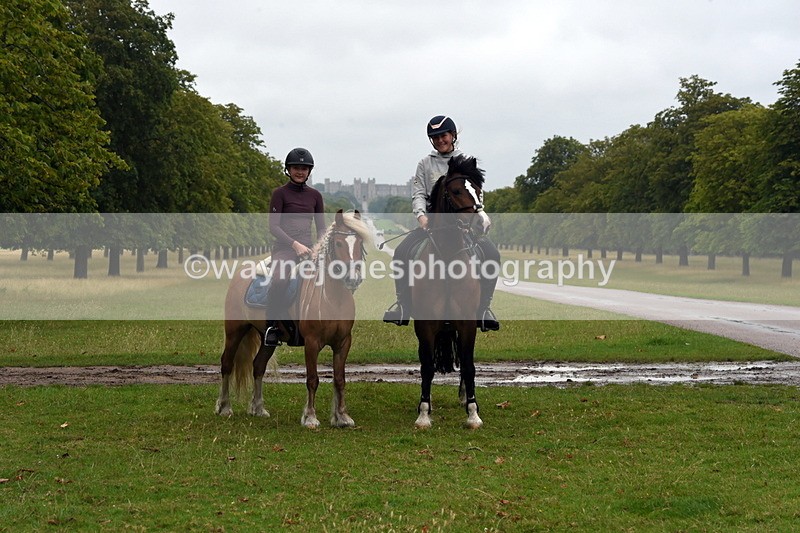 TT3_8118 - Time at Crossing 09:15 to 10:15