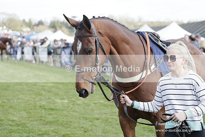 PtP 080423 456 - Dingley Races The Woodland Pytchley Hunt PtP 08/04/23