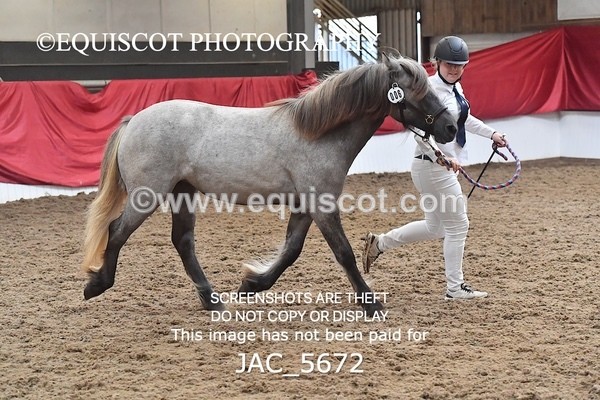 JAC_5672 - 6 Glenmuir Niamh