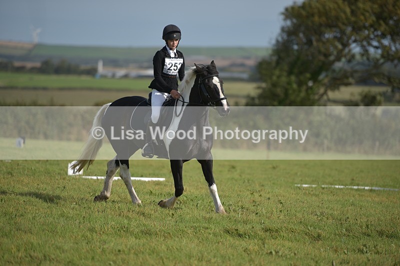 RAY_7634 - Class 2B: Trekenning Open: Dressage