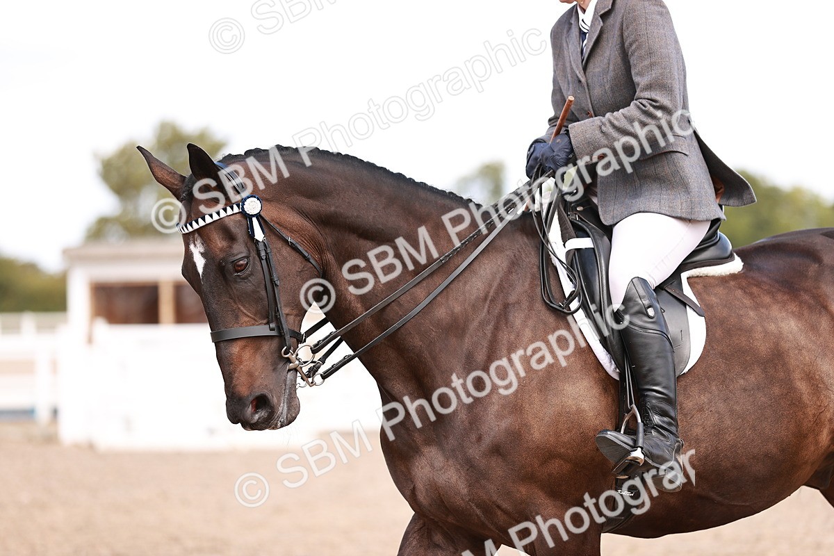 SBM_14461 - Class 410 - Grassroots Ridden - Horse