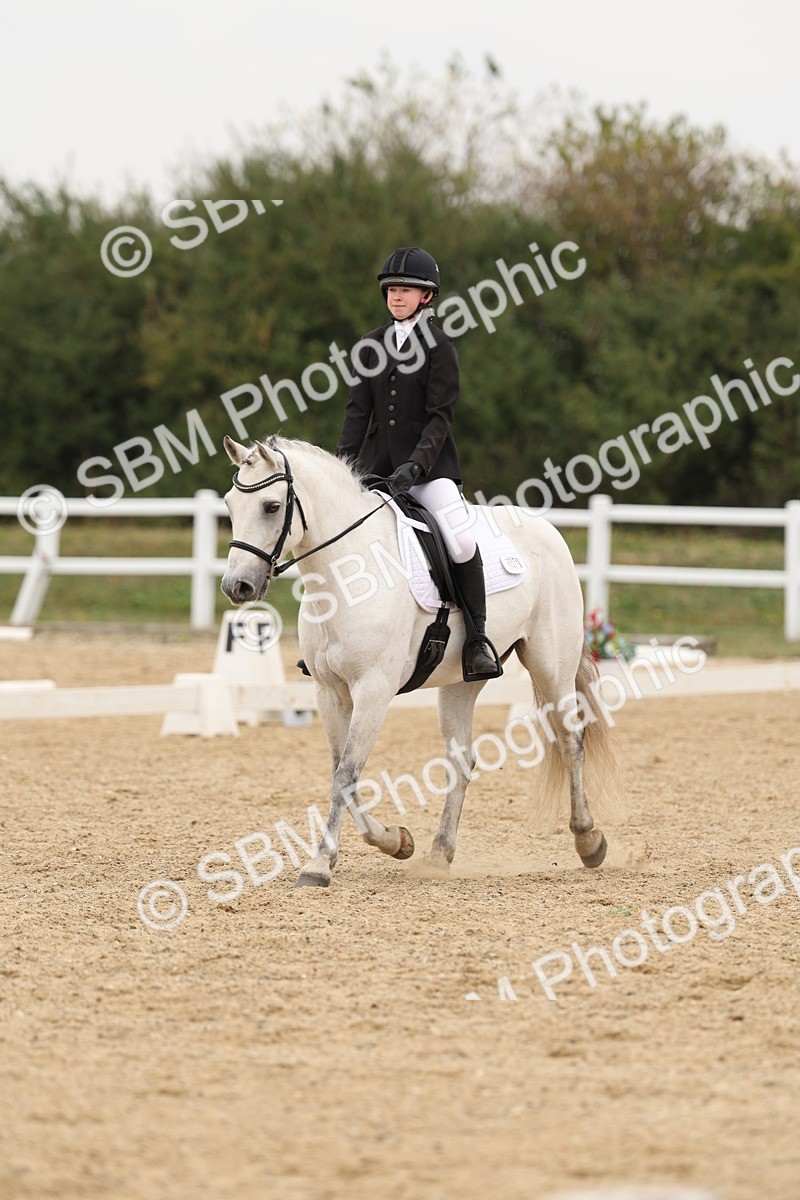 SBM_01069 - Class 8 - Novice 27 Champs